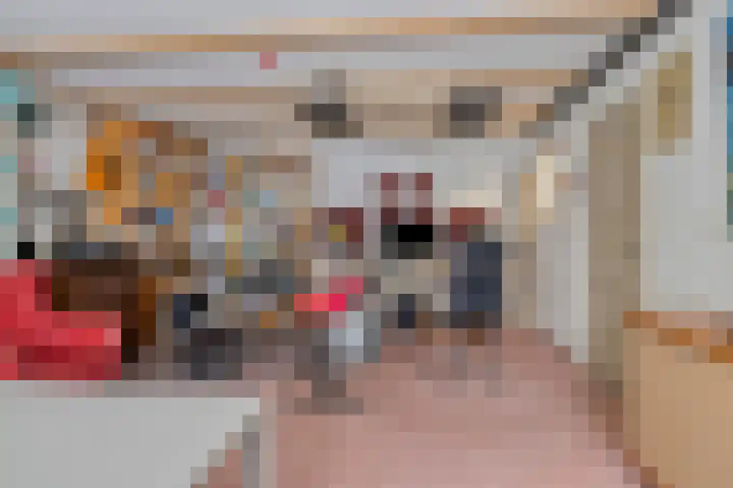 Jozef Israëlsstraat 39 Groningen thumbnail 60