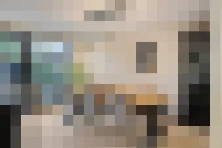 Jozef Israëlsstraat 41 Sprang-Capelle thumbnail 12