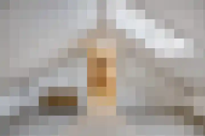 Jozef Israëlsstraat 41 Sprang-Capelle thumbnail 33