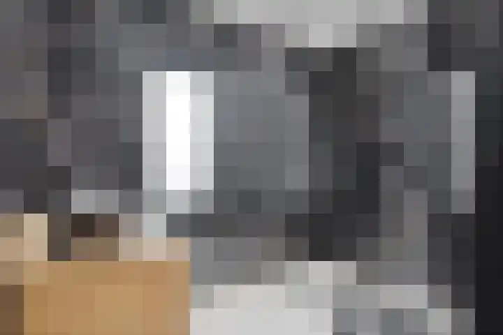 Jozef Israëlsstraat 41 Sprang-Capelle thumbnail 4