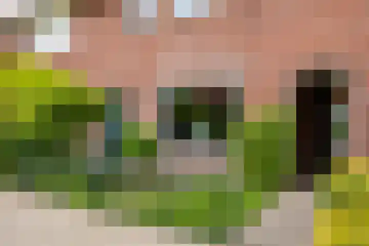 Jozef Israëlsstraat 43 Hengelo thumbnail 10