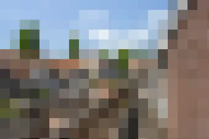 Jozef Israëlsstraat 47 Vlaardingen thumbnail 30