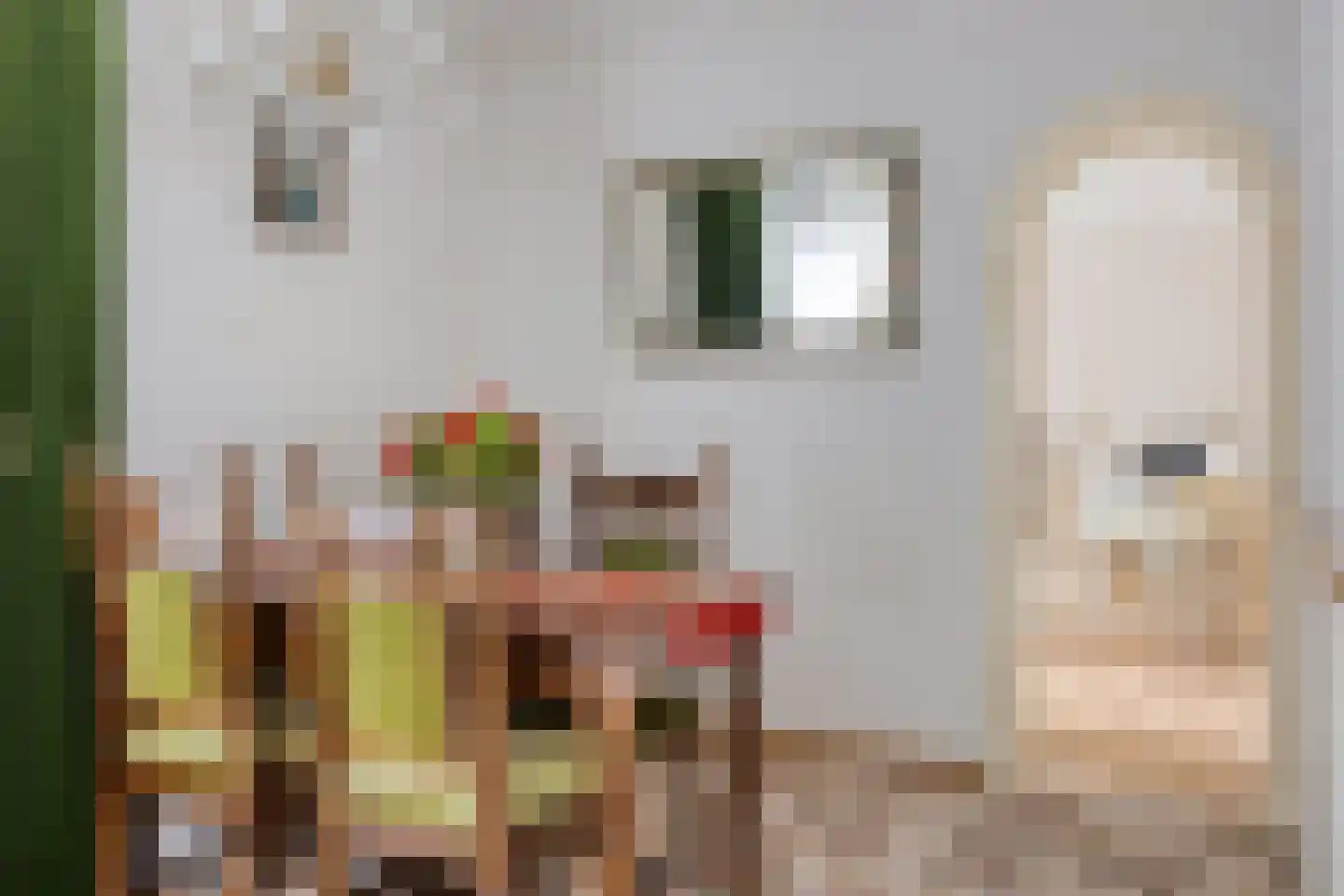 Jozef Israëlsstraat 48 Krimpen aan den IJssel thumbnail 8