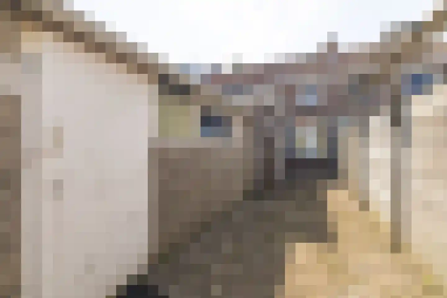 Jozef Israëlsstraat 49 Tilburg thumbnail 23