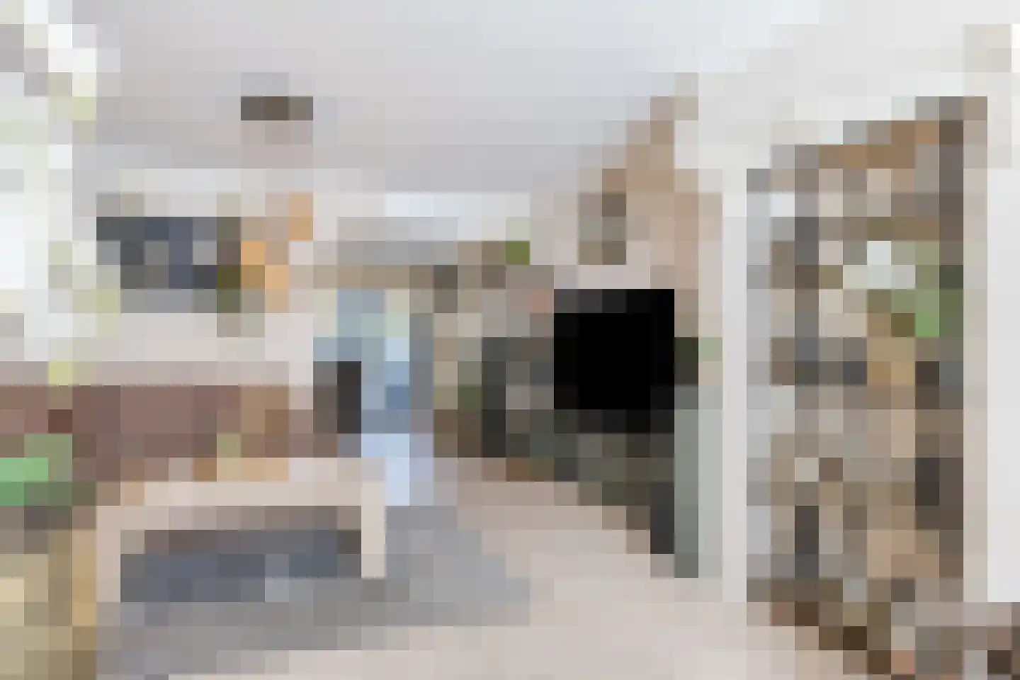 Jozef Israëlsstraat 55 Tilburg thumbnail 4