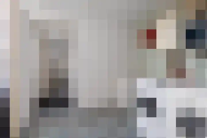 Jozef Israelsstraat 6 Nietap thumbnail 13