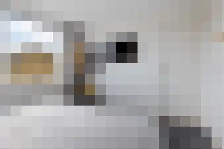 Jozef Israelsstraat 6 Nietap thumbnail 18