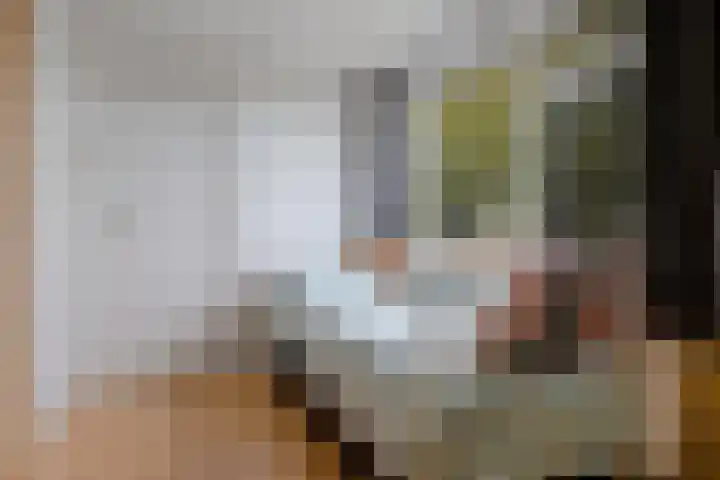 Jozef Israelsstraat 6 Nietap thumbnail 19