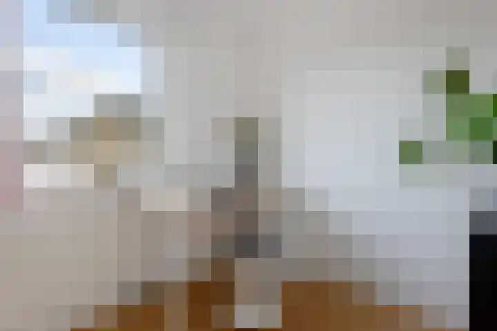 Jozef Israelsstraat 6 Nietap thumbnail 21