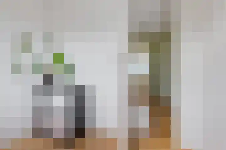 Jozef Israelsstraat 6 Nietap thumbnail 22