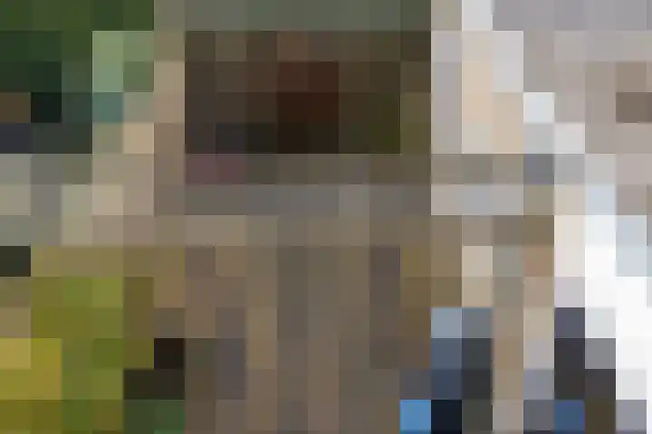 Jozef Israelsstraat 6 Nietap thumbnail 30