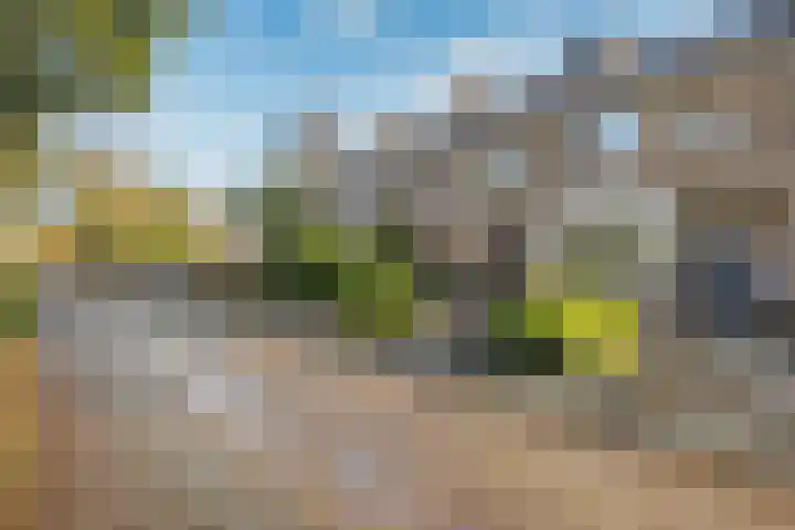 Jozef Israelsstraat 6 Nietap thumbnail 32