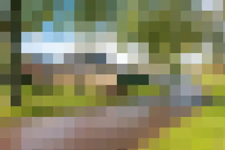 Jozef Israelsstraat 6 Nietap thumbnail 33