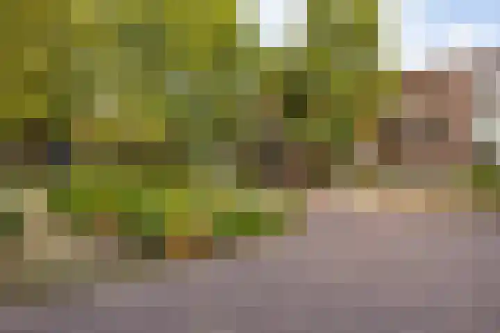 Jozef Israëlsstraat 62 a Groningen thumbnail 38