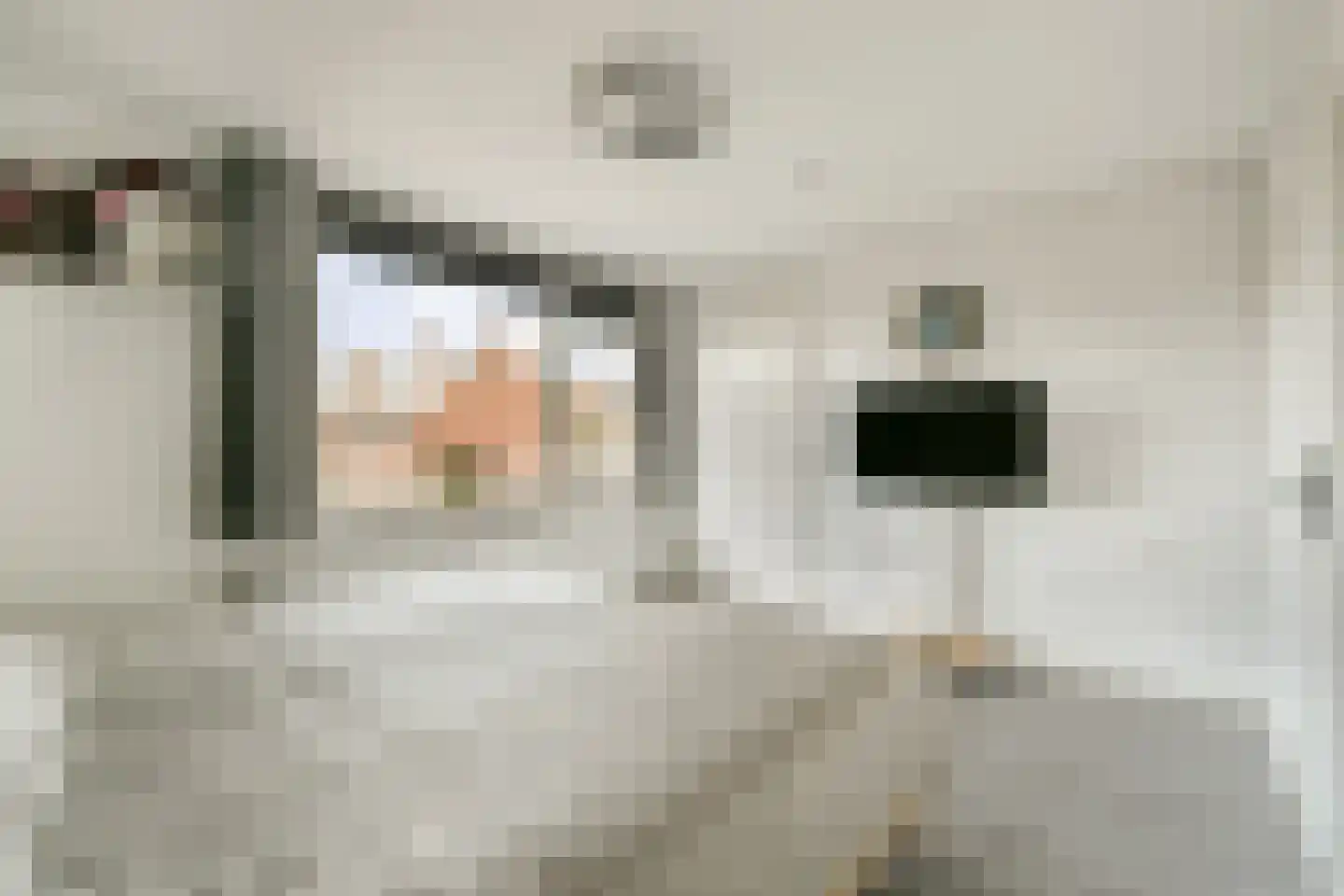 Jozef Israëlsstraat 66 Lisse thumbnail 16