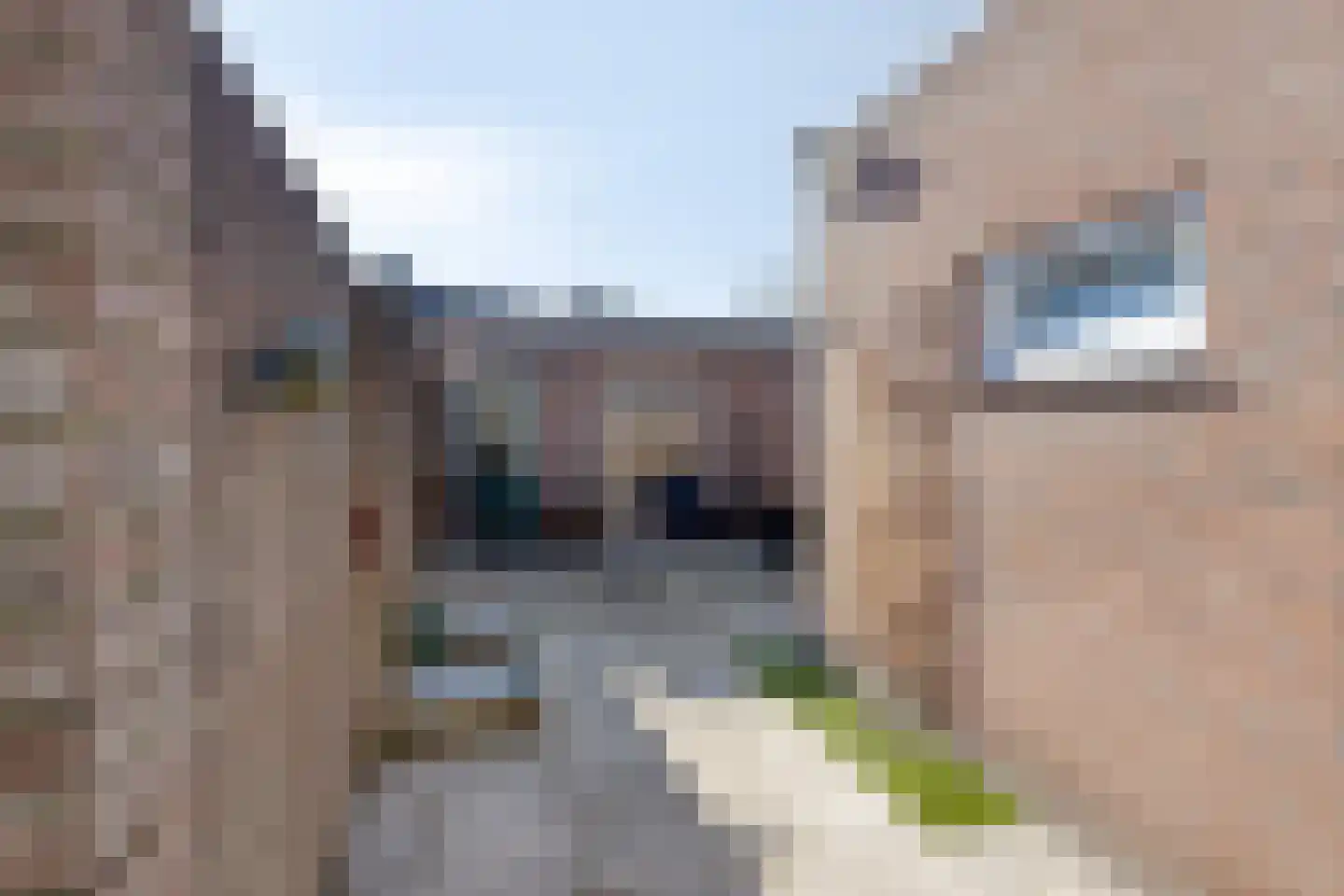 Jozef Israëlsstraat 74 Tilburg thumbnail 23