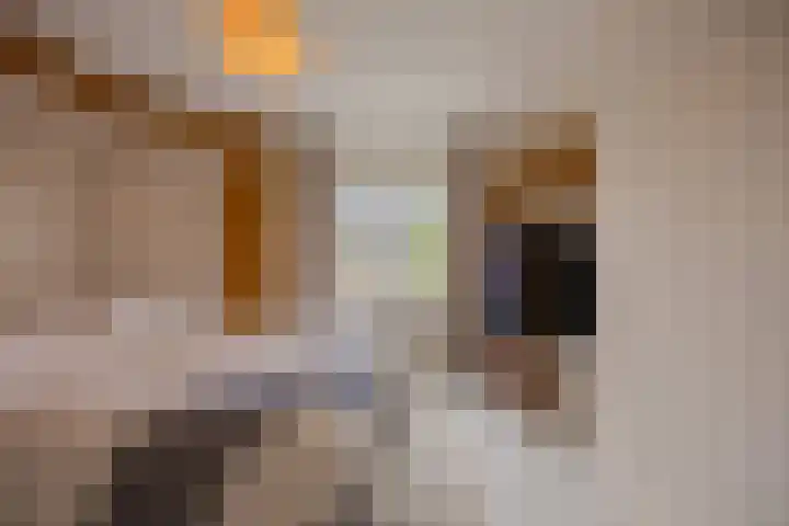 Jozef Israëlsstraat 87 Nijmegen thumbnail 5