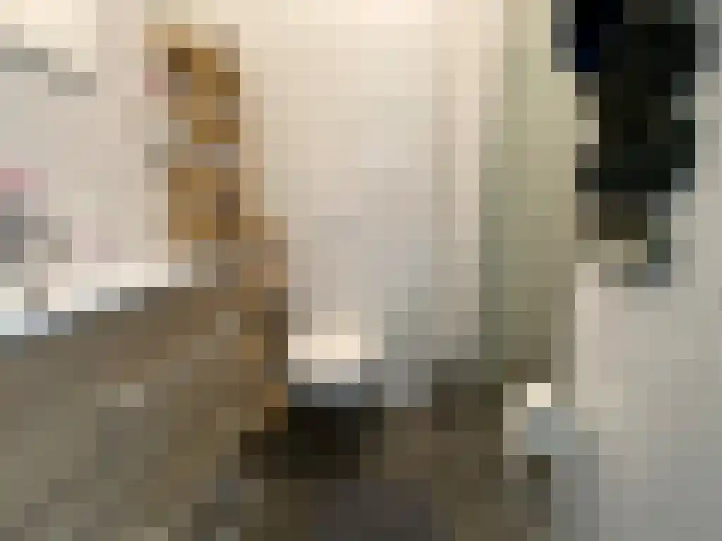 Jozef Israëlsstraat Groningen thumbnail 5