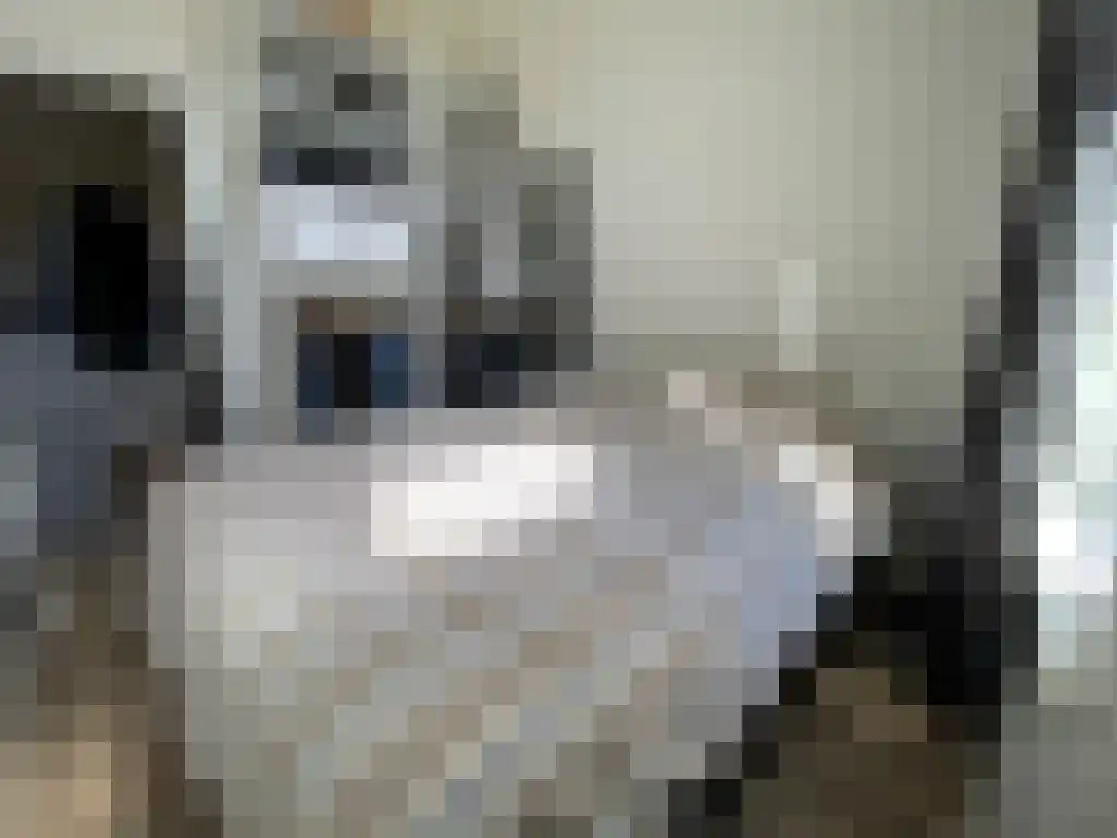 Jozef Israëlsstraat Groningen thumbnail 6