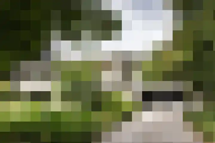 Jozef Israëlsweg 14 Bloemendaal
