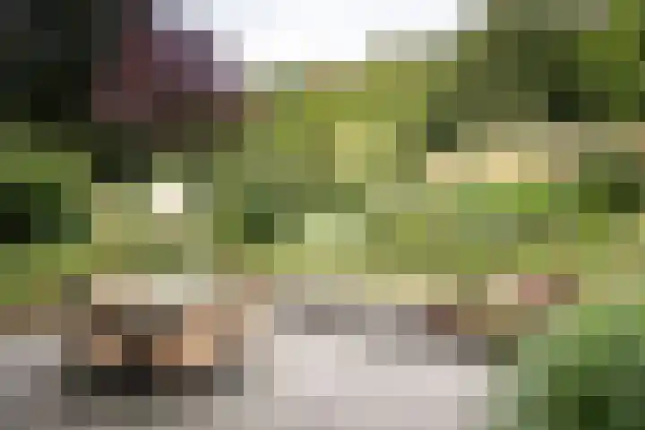 Jozef Israëlsweg 14 Bloemendaal thumbnail 13