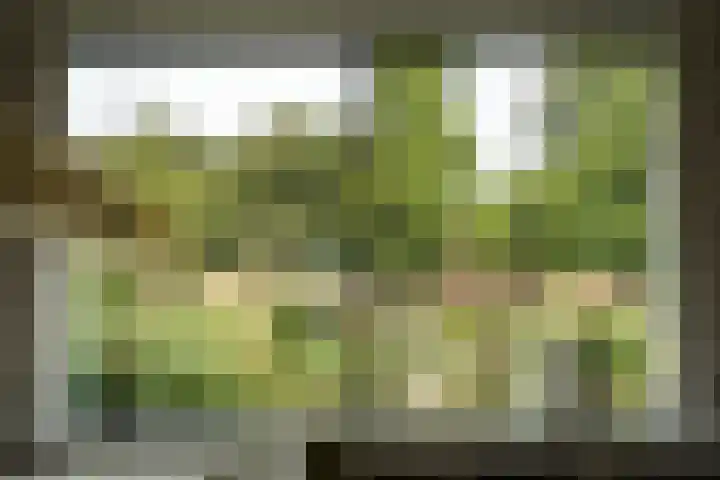 Jozef Israëlsweg 14 Bloemendaal thumbnail 18
