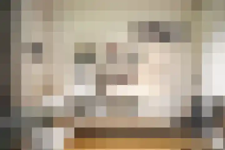 Jozef Israëlsweg 14 Bloemendaal thumbnail 33