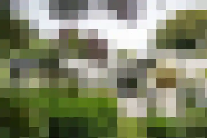 Jozef Israëlsweg 14 Bloemendaal thumbnail 4