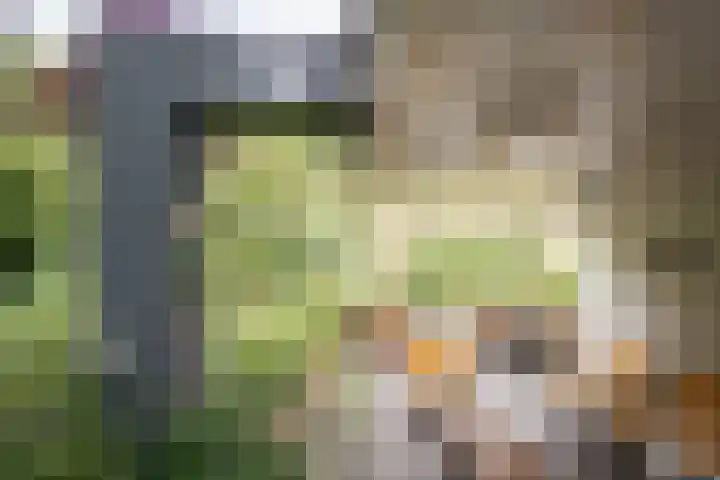Jozef Israëlsweg 14 Bloemendaal thumbnail 40