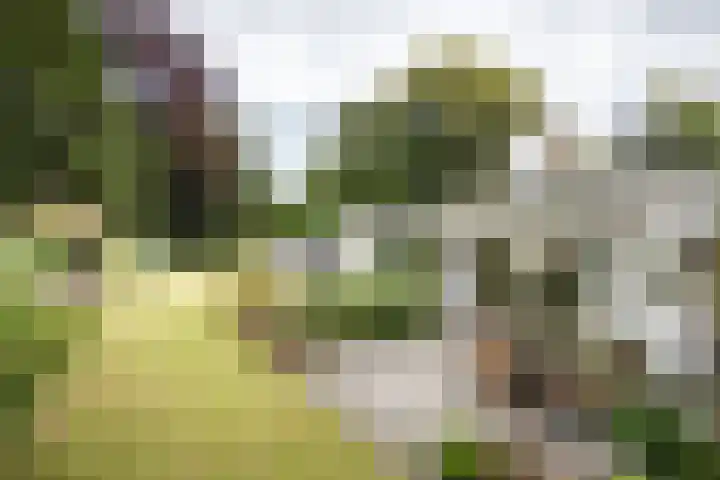 Jozef Israëlsweg 14 Bloemendaal thumbnail 41