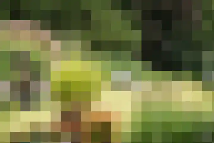 Jozef Israëlsweg 14 Bloemendaal thumbnail 42