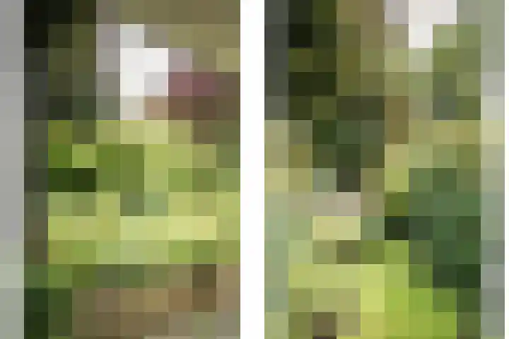 Jozef Israëlsweg 14 Bloemendaal thumbnail 43