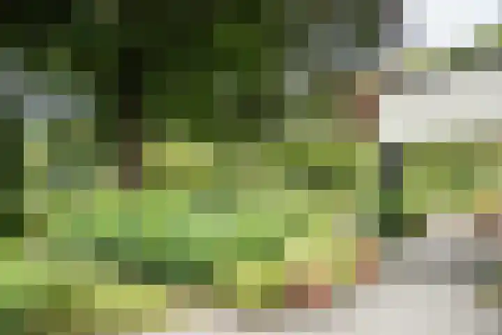 Jozef Israëlsweg 14 Bloemendaal thumbnail 44