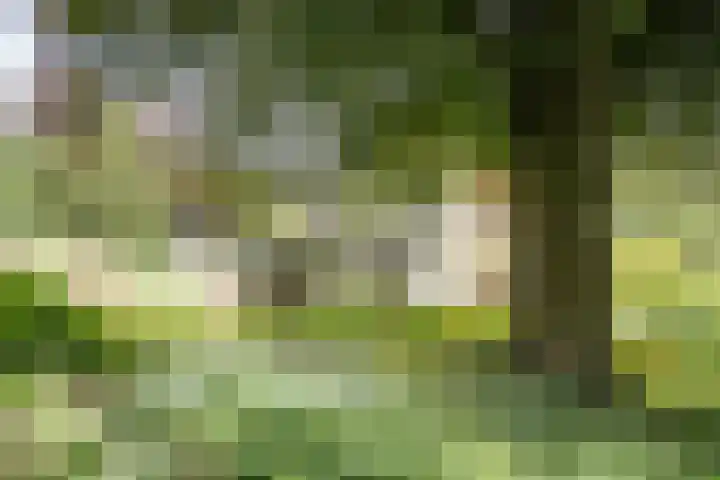 Jozef Israëlsweg 14 Bloemendaal thumbnail 46