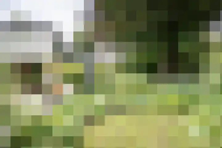 Jozef Israëlsweg 14 Bloemendaal thumbnail 47