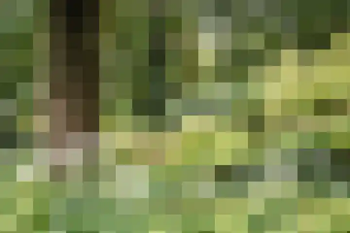 Jozef Israëlsweg 14 Bloemendaal thumbnail 48