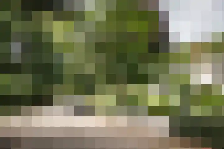 Jozef Israëlsweg 14 Bloemendaal thumbnail 50