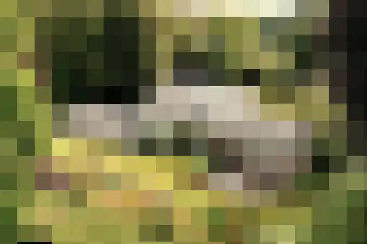 Jozef Israëlsweg 14 Bloemendaal thumbnail 51