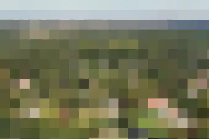 Jozef Israëlsweg 14 Bloemendaal thumbnail 52