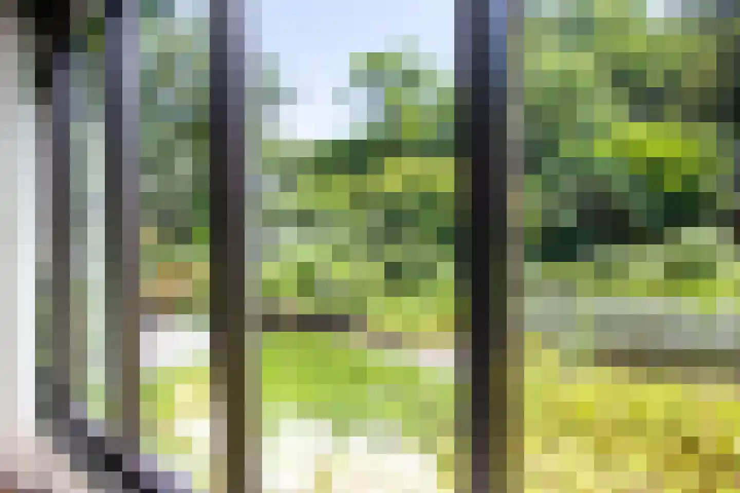 Jozef Israëlsweg 16 Bloemendaal thumbnail 18
