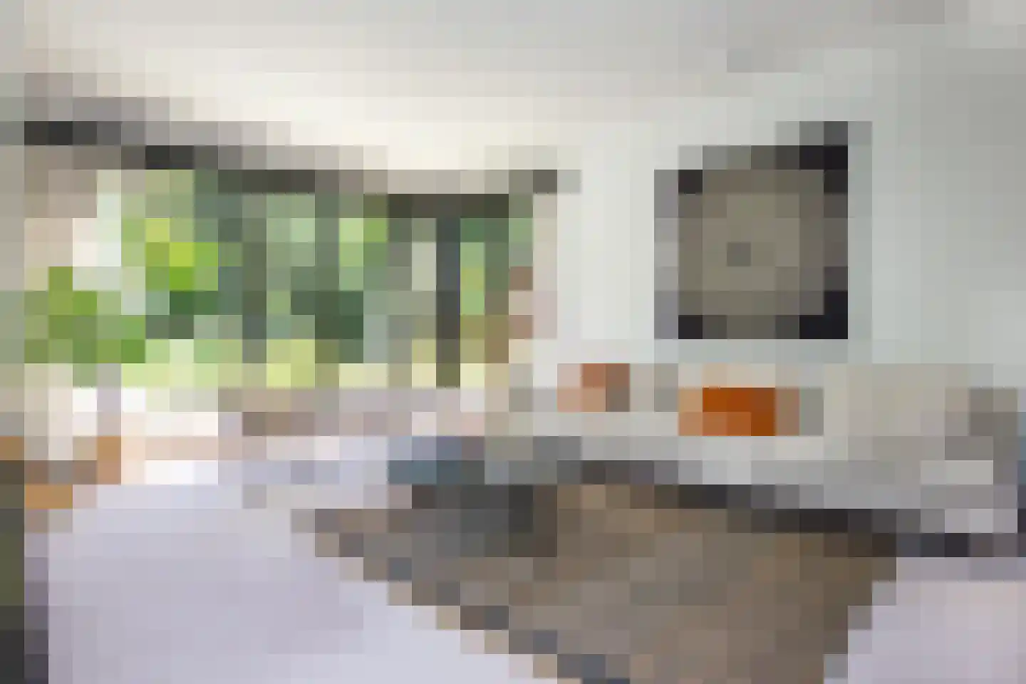 Jozef Israëlsweg 16 Bloemendaal thumbnail 5