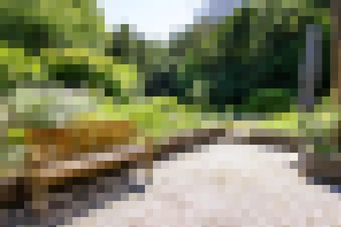 Jozef Israëlsweg 16 Bloemendaal thumbnail 53