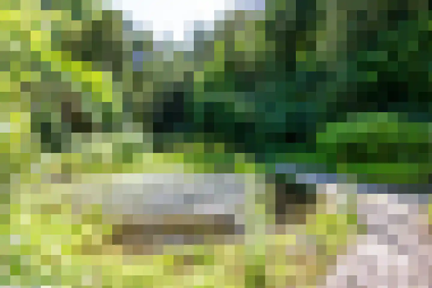 Jozef Israëlsweg 16 Bloemendaal thumbnail 6