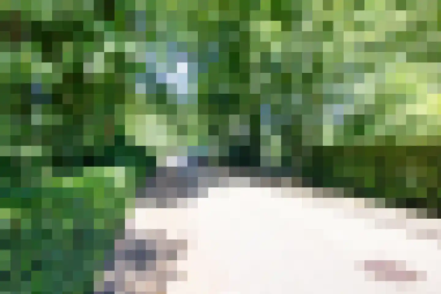 Jozef Israëlsweg 16 Bloemendaal thumbnail 61