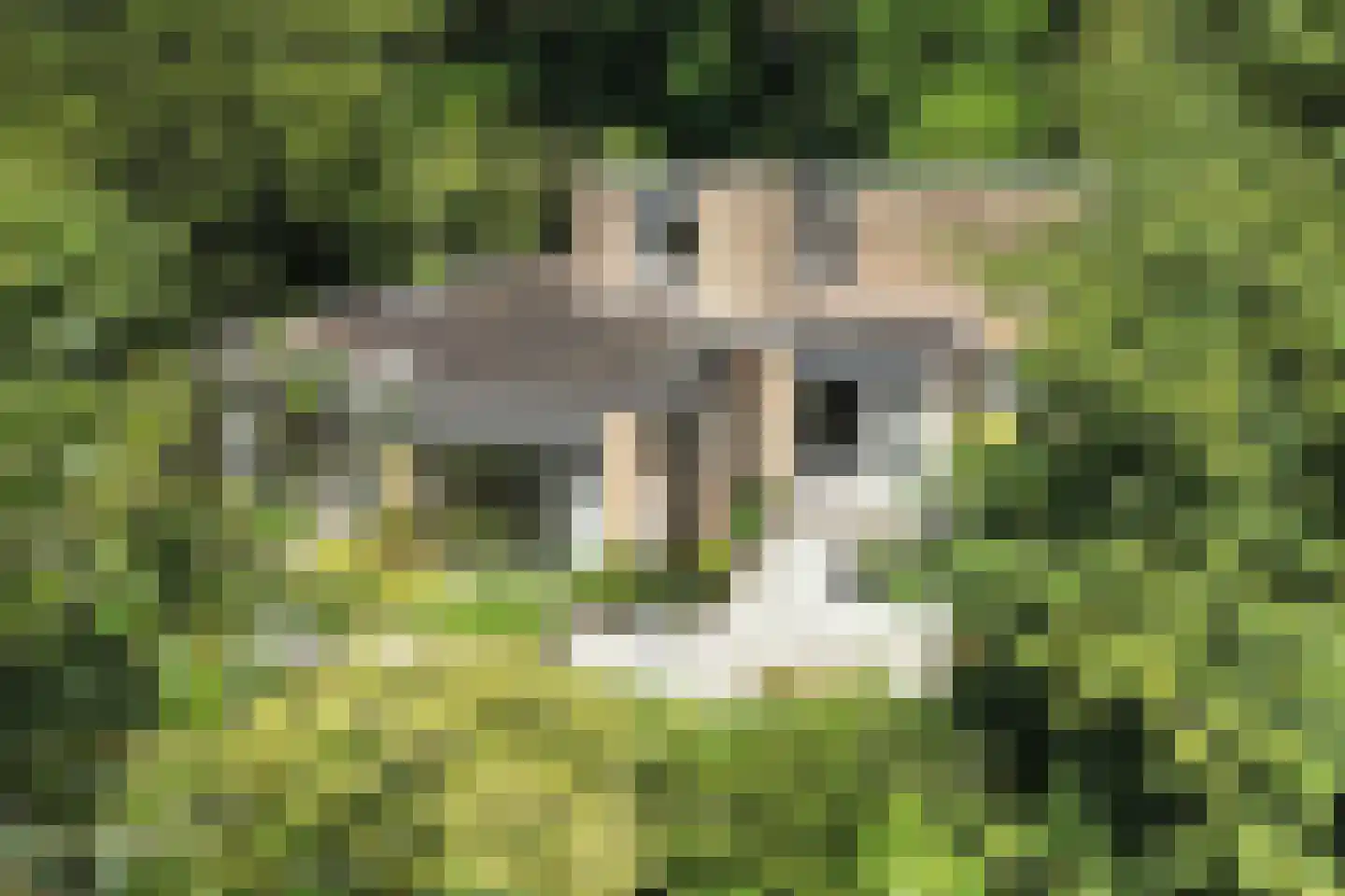Jozef Israëlsweg 16 Bloemendaal thumbnail 65