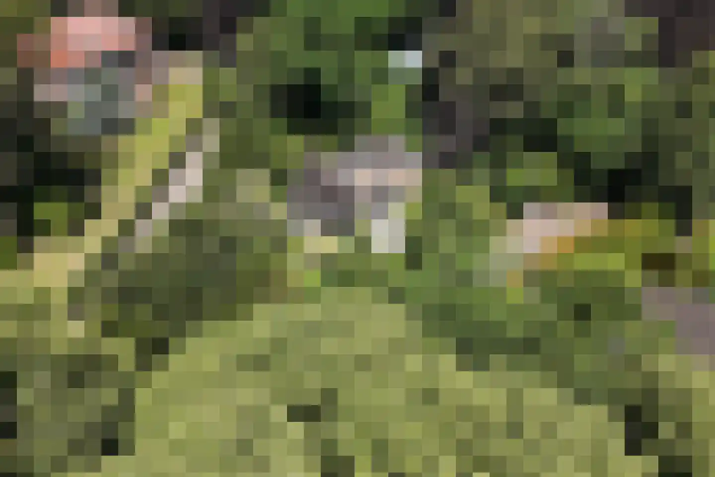 Jozef Israëlsweg 16 Bloemendaal thumbnail 66