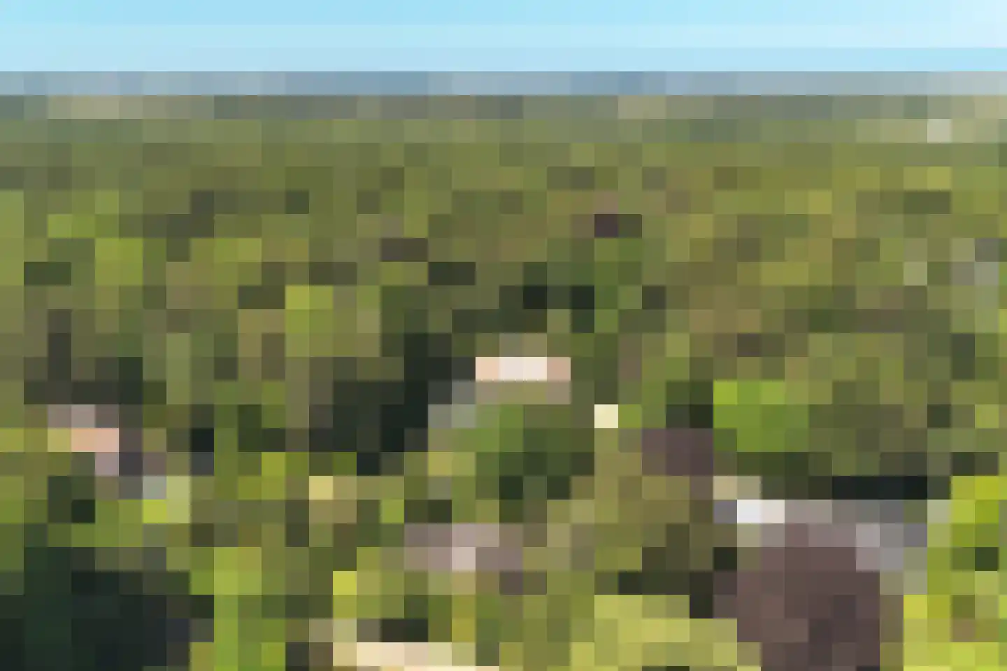 Jozef Israëlsweg 16 Bloemendaal thumbnail 67