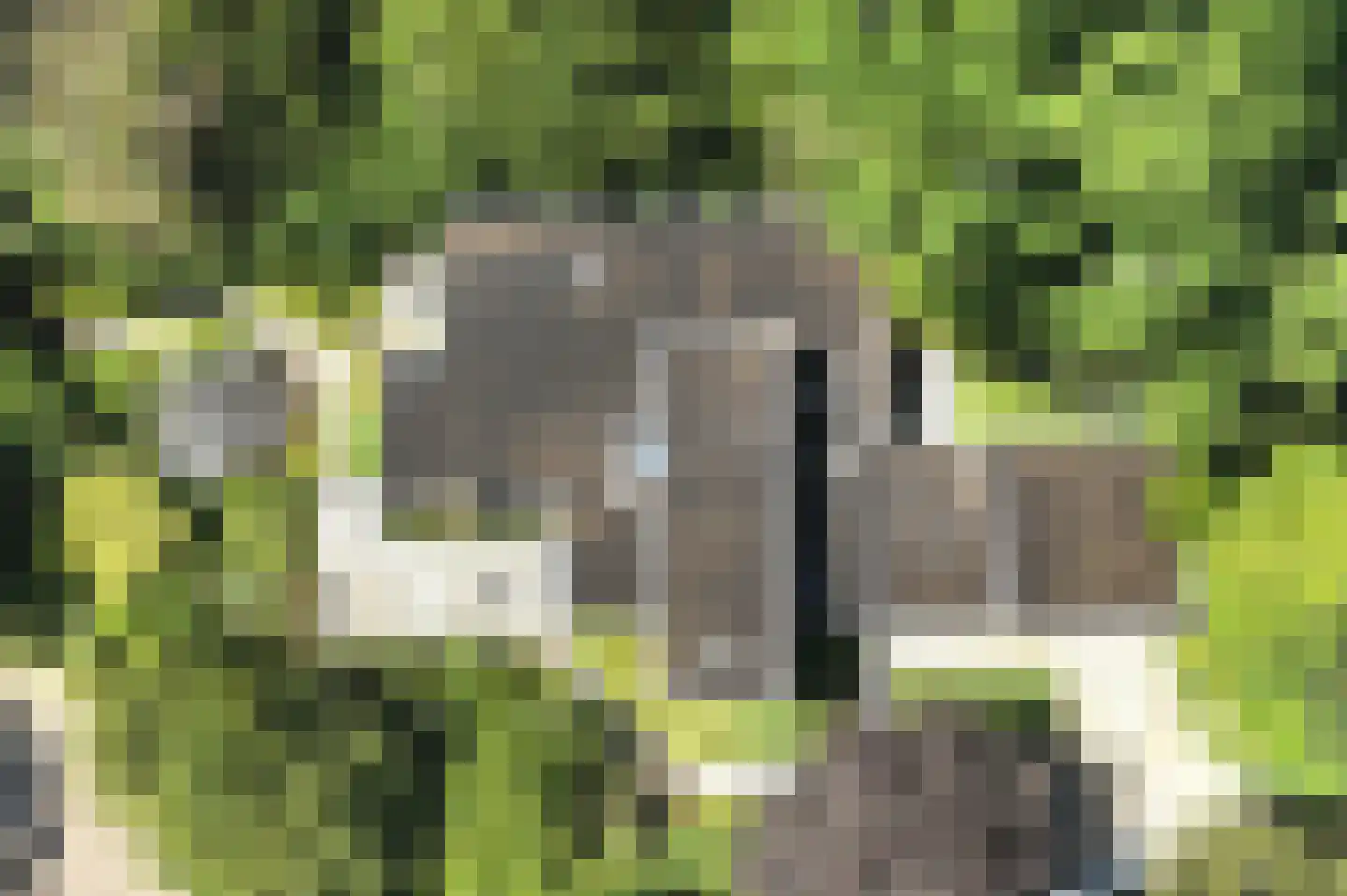 Jozef Israëlsweg 16 Bloemendaal thumbnail 68
