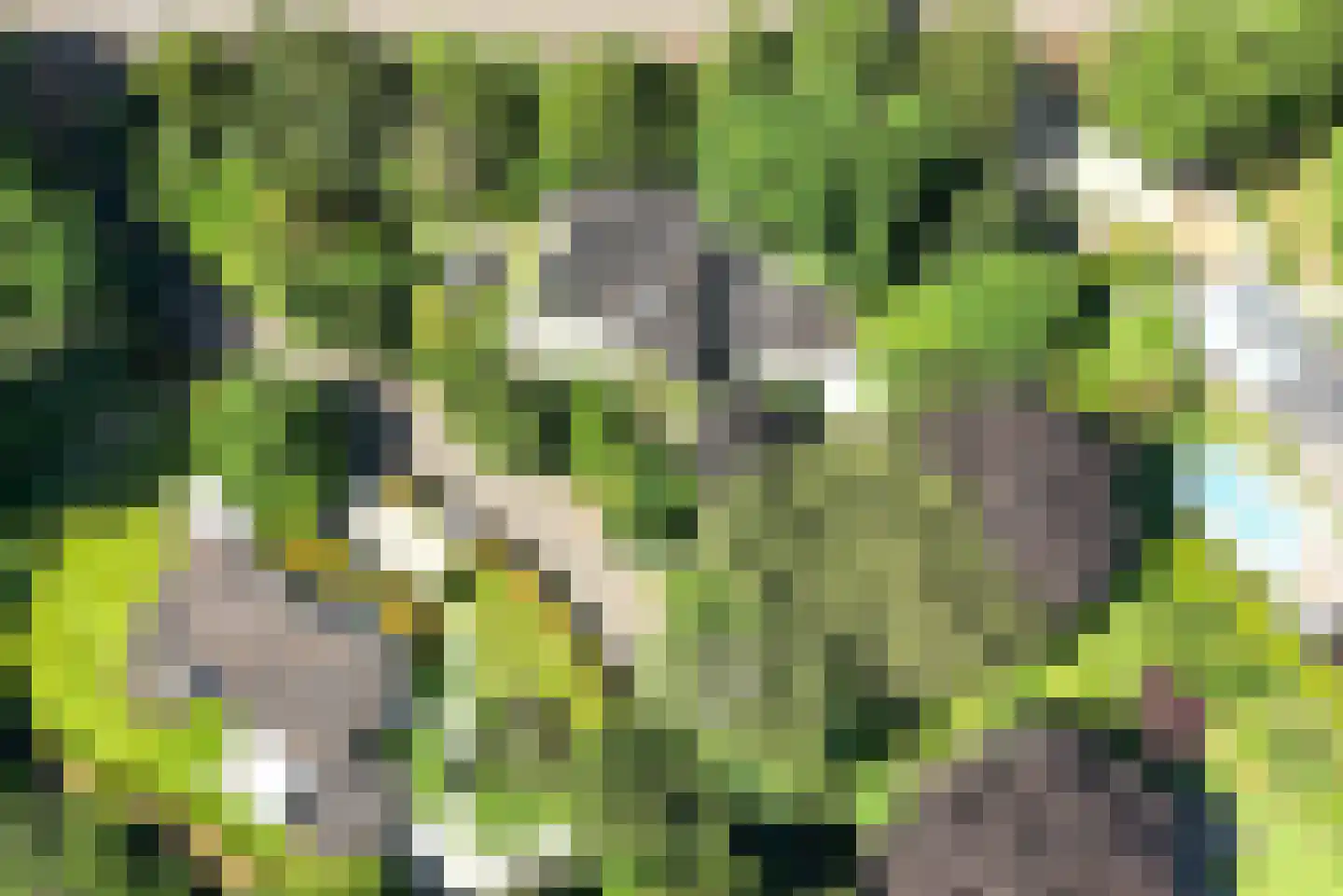 Jozef Israëlsweg 16 Bloemendaal thumbnail 69