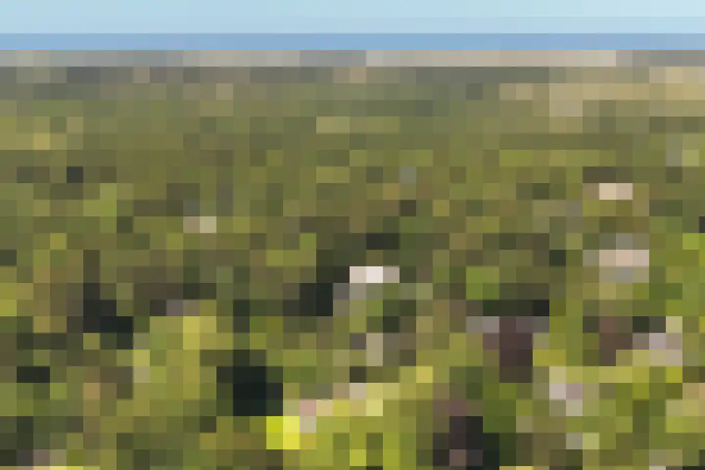 Jozef Israëlsweg 16 Bloemendaal thumbnail 70